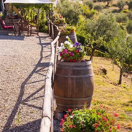 Country house La Pergola Del Chianti Vagliagli