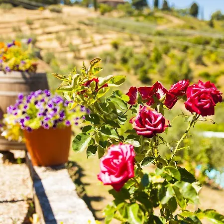 La Pergola Del Chianti Country house *
